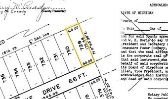 N Forest Lake Drive, Alger, MI 48610