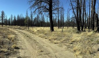 Mahogany Lane 200, Beatty, OR 97621