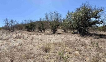 9927 Modrigan Ln, Fallbrook, CA 92028