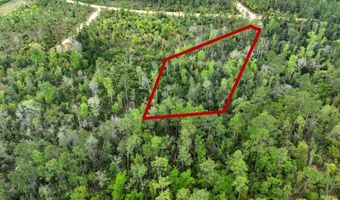 CASTLE CIRCLE, Alford, FL 32420