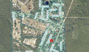 SE 309 Avenue, Altoona, FL 32702