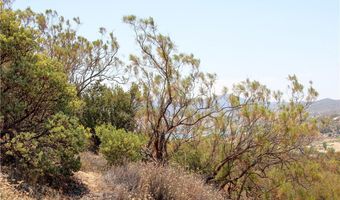 875 Lake Cyn, Aguanga, CA 92536