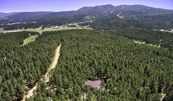 39 San Andres Dr, Angel Fire, NM 87710
