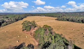 0 County Road 127, Banks, AL 36005