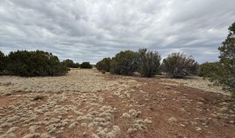 149 County Rd 8057, Concho, AZ 85924