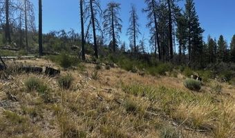 Wren Drive lot 6, Bonanza, OR 97623