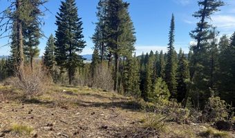 Urban Lane lot 5, Cascade, ID 83611