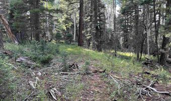 2 Back Basin Rd, Angel Fire, NM 87710