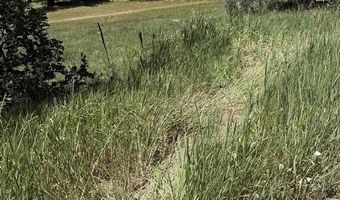 473 Alpine Forest Dr, Bayfield, CO 81122