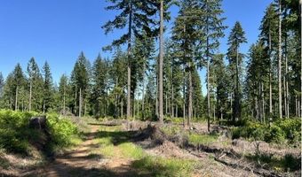 Tunnel Tract Parcel2, Banks, OR 97106