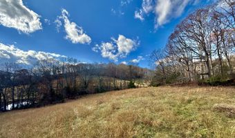 1520 Brittontown Rd, Afton, TN 37616