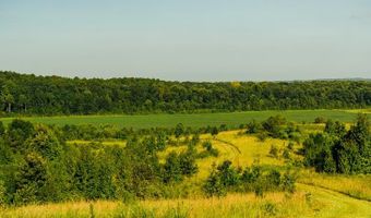 1037 Cr 300, Big Creek, MS 38914