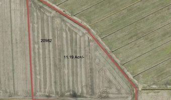Sr 1918 Road, Aurora, NC 27806
