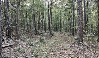 CR 225, Blue Springs, MS 38828