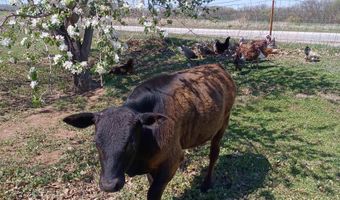 33017 77th, Arkansas City, KS 67005