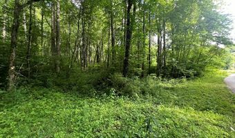 Lot 8 Collett Creek Road, Andrews, NC 28901