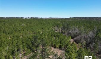 9 Robinsonville Rd, Atmore, AL 36502