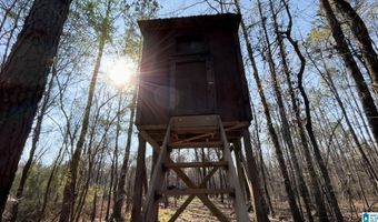 439 WILD ROSE Trl, Ashville, AL 35953