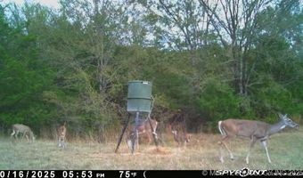 10450 County Road 1490 Rd, Ada, OK 74820