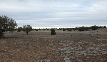 214 D Juniper Woods, Ash Fork, AZ 86320