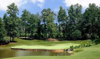 109 Hawks Ct, Ball Ground, GA 30107