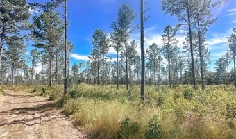 Tbd CR 4328, De Kalb, TX 75559