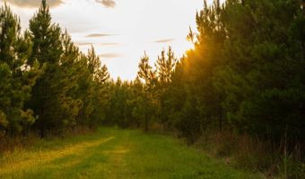 Mann Road, Arabi, GA 31712