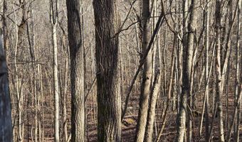 River Oak drive lot 7, Big Sandy, TN 28320