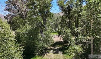 E Fork Road, Clayton, ID 83227