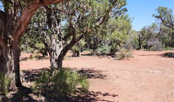 200 Cathedral Vly, Ash Fork, AZ 86320