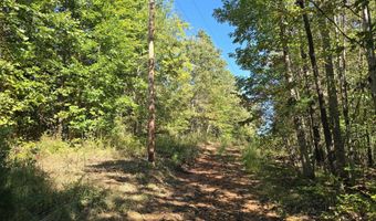 HURT HOLLOW RD, Banco, VA 22711