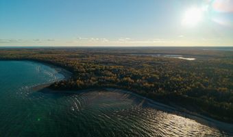 9415 Wreck Rd, Alpena, MI 49707