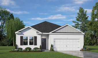 41 Stone Apiary Dr, Angier, NC 27501
