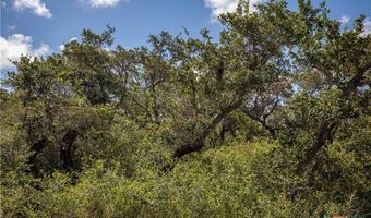 N McCampbell Street, Aransas Pass, TX 78336