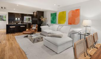 100 N Eighth St 3, Aspen, CO 81611