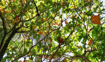 Keanae Rd, Hana, HI 96708