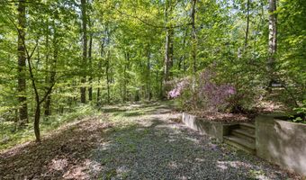 566 Roberts Creek Ln, Clarkesville, GA 30523