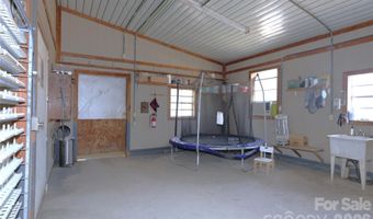 2121 Whitetail Rd, Blackville, SC 29817