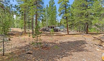20 Paint Brush Dr, Black Hawk, CO 80422