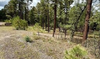 7 Eric Ln, Alpine, AZ 85920