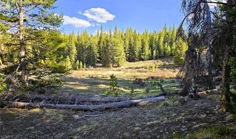 PCS # 7765 & 12057 Rollies Trail lot 0, Alma, CO 80420