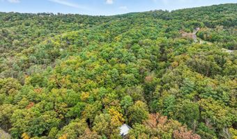 16 SPRUCE HOLLOW Rd, Basye, VA 22810