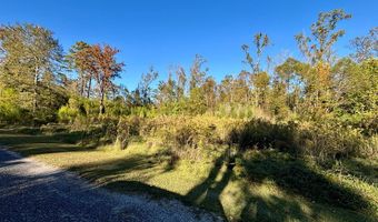 TBD Forest Blvd, Abbeville, AL 36310