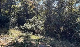 1011 Granny Hollar Rd, Atkins, AR 72823