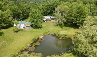 1398 Canada Hollow Rd, Andes, NY 13731