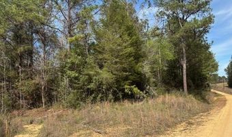 Conecuh River Church Rd, Andalusia, AL 36420