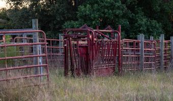 100 Acres Harmony Church Rd, Andalusia, AL 36421