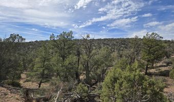 38125 N Snake Rd, Ash Fork, AZ 86320