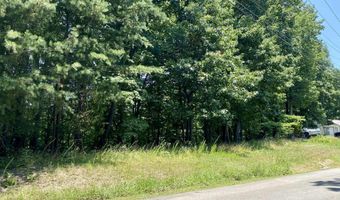 970-972 Iron Gate Dr, Baneberry, TN 37890