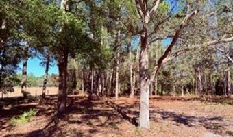 2629 NW 29th Ter, Bell, FL 32619